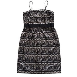 nwot WHBM Black Lace Gray Cocktail Dress 14